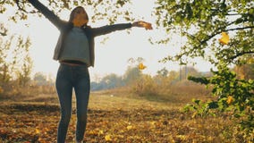 Donna attraente che salta in parco autunnale e foglie di acero gialle di lancio Ragazza che solleva le mani e che gode del moment video d archivio Donna attraente che salta in parco autunnale e foglie di acero gialle di lancio Ragazza che solleva le mani e che gode del moment video d archivio
