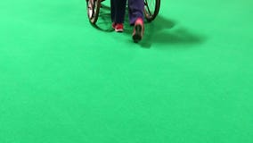 Donna che spinge sedia a rotelle isolata su verde Donna che spinge sedia a rotelle isolata su verde