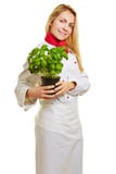 Donna come basilico della tenuta del cuoco del cuoco unico fotografie stock libere da diritti Donna come basilico della tenuta del cuoco del cuoco unico fotografie stock libere da diritti