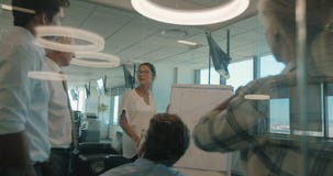 Donna di affari che spiega strategia aziendale nella riunione video d archivio Donna di affari che spiega strategia aziendale nella riunione video d archivio