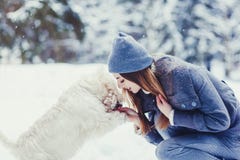 Donna ed il suo cane fedele fotografie stock Donna ed il suo cane fedele fotografie stock