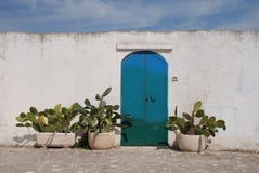 Door With Cacti Stock Image Door With Cacti Stock Image
