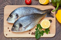 Dorado Fish Stock Images Dorado Fish Stock Images