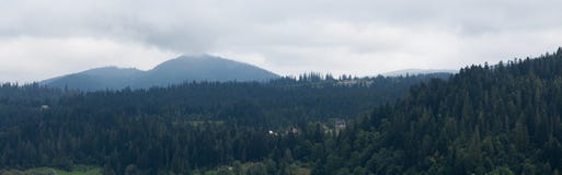 Dorfwaldlandschaft, Gebirgsnebel stockbild Dorfwaldlandschaft, Gebirgsnebel stockbild
