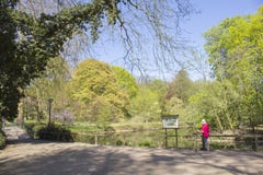 Dortmund, Ruhr Area, North Rhine Westphalia ,Germany - April 16 2018: Romberg Park is part of the European Garden Network royalty free stock image Dortmund, Ruhr Area, North Rhine Westphalia ,Germany - April 16 2018: Romberg Park is part of the European Garden Network royalty free stock image