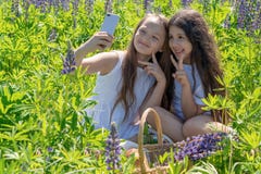 Dos bebés hacen el selfie en un teléfono entre las flores en un campo en un día soleado foto de archivo Dos bebés hacen el selfie en un teléfono entre las flores en un campo en un día soleado foto de archivo