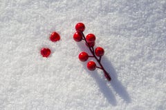 dos corazones rojos y una rama con las bayas rojas en la nieve foto de archivo libre de regalías dos corazones rojos y una rama con las bayas rojas en la nieve foto de archivo libre de regalías