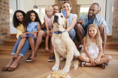 Dos familias que celebran cumpleaños del ½ s del ¿del dogï del animal doméstico en casa imagenes de archivo Dos familias que celebran cumpleaños del ½ s del ¿del dogï del animal doméstico en casa imagenes de archivo