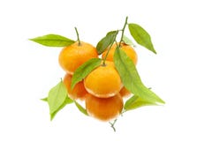 Dos mandarinas con las hojas en el fondo blanco en el espejo imagenes de archivo Dos mandarinas con las hojas en el fondo blanco en el espejo imagenes de archivo