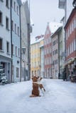 Dos perros se abrazan y miran la calle de una pequeña ciudad Animal doméstico en la ciudad, paseo, viaje imagen de archivo libre de regalías Dos perros se abrazan y miran la calle de una pequeña ciudad Animal doméstico en la ciudad, paseo, viaje imagen de archivo libre de regalías