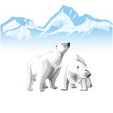 Dos polares blancos refieren un fondo de icebergs libre illustration Dos polares blancos refieren un fondo de icebergs libre illustration