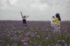 Dos turistas están gozando de las flores y están tomando las fotos imagen de archivo libre de regalías Dos turistas están gozando de las flores y están tomando las fotos imagen de archivo libre de regalías