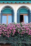 Dos viejo Windows con las flores del verano en la cornisa en Venecia Italia fotografía de archivo Dos viejo Windows con las flores del verano en la cornisa en Venecia Italia fotografía de archivo