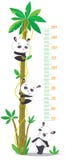Dosez le mur avec le palmier et trois pandas drôles illustration libre de droits Dosez le mur avec le palmier et trois pandas drôles illustration libre de droits