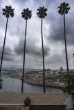Douro river and palm trees in The Garden of Feelings. Crystal Palace garden royalty free stock photography Douro river and palm trees in The Garden of Feelings. Crystal Palace garden royalty free stock photography