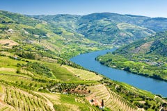 Douro Valley Royalty Free Stock Photo