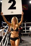 In dozen doen van het Meisje van de ring het Amateur en Professionele royalty-vrije stock afbeeldingen In dozen doen van het Meisje van de ring het Amateur en Professionele royalty-vrije stock afbeeldingen