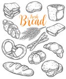 Dragen fastställd illustration för brödvektor hand Andra typer av vete, pudrar nytt bröd Royaltyfria Foton Dragen fastställd illustration för brödvektor hand Andra typer av vete, pudrar nytt bröd Royaltyfria Foton