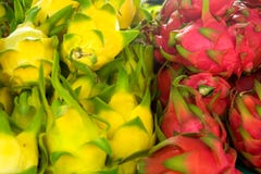 Dragon Fruit Royalty Free Stock Images Dragon Fruit Royalty Free Stock Images