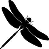 Dragonfly - 1