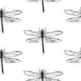 Dragonfly pattern vector illustration Dragonfly pattern vector illustration