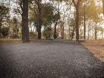 Dramatic cloes up asphalt path way in fall autumn public park with warm light for background , relax or fresh concept vintage tone stock photos Dramatic cloes up asphalt path way in fall autumn public park with warm light for background , relax or fresh concept vintage tone stock photos