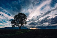 Dramatische Zonsondergang Stock Afbeelding