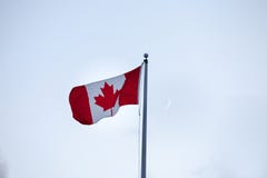 Drapeau canadien, avec sa feuille d'érable rouge iconique, écartant dans le ciel sur un poteau, dehors, pendant la nuit avec la l photos stock Drapeau canadien, avec sa feuille d'érable rouge iconique, écartant dans le ciel sur un poteau, dehors, pendant la nuit avec la l photos stock