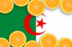 Drapeau de l'Algérie dans le cadre horizontal de tranches d'agrumes illustration stock Drapeau de l'Algérie dans le cadre horizontal de tranches d'agrumes illustration stock