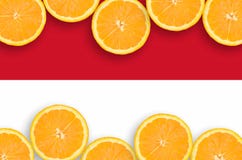 Drapeau du Monaco dans le cadre horizontal de tranches d'agrumes images stock Drapeau du Monaco dans le cadre horizontal de tranches d'agrumes images stock