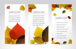 Drapeaux verticaux d'automne normal frais avec des lames illustration stock Drapeaux verticaux d'automne normal frais avec des lames illustration stock