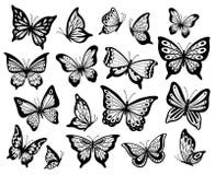 Drawing butterflies. Stencil butterfly, moth wings and flying insects isolated vector illustration set
