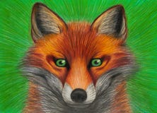 Drawing of portrait of red fox with green eyes on green background, closeup of orange animal, carnivor with beautiful colored fur