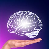 Drawn brain hovered over the human hand stock photography Drawn brain hovered over the human hand stock photography