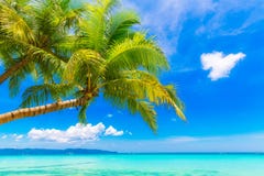 Dream Scene. Beautiful Palm Tree Over White Sand Beach. Summer N Stock Photography Dream Scene. Beautiful Palm Tree Over White Sand Beach. Summer N Stock Photography