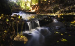 Dream stream stock photo Dream stream stock photo