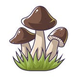 Drei Pilze im Gras stock abbildung Drei Pilze im Gras stock abbildung