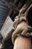 Drewniana smok rzeźba na filarach Jin ancestralna sala w Shanxi prowinci, Chiny obraz stock Drewniana smok rzeźba na filarach Jin ancestralna sala w Shanxi prowinci, Chiny obraz stock