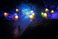 Drie fantasie gloeiende paddestoelen in geheimzinnigheid donker bosclose-up Mooi macroschot van magische binnen verloren paddesto stock foto's Drie fantasie gloeiende paddestoelen in geheimzinnigheid donker bosclose-up Mooi macroschot van magische binnen verloren paddesto stock foto's