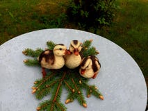 Drie kleine einden als decoratie op een tuinlijst royalty-vrije stock fotografie Drie kleine einden als decoratie op een tuinlijst royalty-vrije stock fotografie