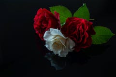 Drie rozen met een bezinning over zwart glas royalty-vrije stock fotografie Drie rozen met een bezinning over zwart glas royalty-vrije stock fotografie