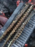 Drie vissen bij de grill - het openlucht koken stock fotografie Drie vissen bij de grill - het openlucht koken stock fotografie