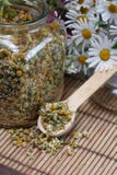 Dried Camomile Stock Photography Dried Camomile Stock Photography
