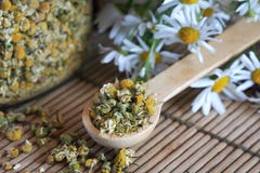 Dried Camomile Royalty Free Stock Photography Dried Camomile Royalty Free Stock Photography