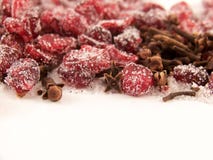 Dried Cranberries And Sugar And Cloves Stock Photography Dried Cranberries And Sugar And Cloves Stock Photography