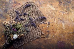Dried Flowers on a wooden background Autumn Still Life Royalty Free Stock Image Dried Flowers on a wooden background Autumn Still Life Royalty Free Stock Image