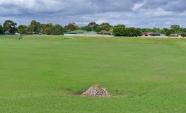 Dried grass and dirt covering water draining sewage stock photography Dried grass and dirt covering water draining sewage stock photography