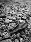Black-and-white images of dried leaves dropping on a rocky surface. For the natural background stock image Black-and-white images of dried leaves dropping on a rocky surface. For the natural background stock image