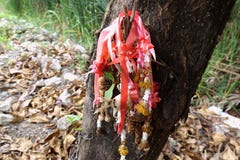 garland thai jasmine flower dried marigold hanging tree arabian basket