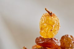 Dried Raisins On White Background, Close-up, Macro, Shallow Depth Of Field, Back Light Stock Photo